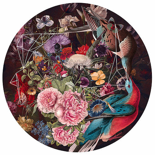 "Rhythmic Order In Chromatic Disorder" Limited Edition By Alexandra Gallagher