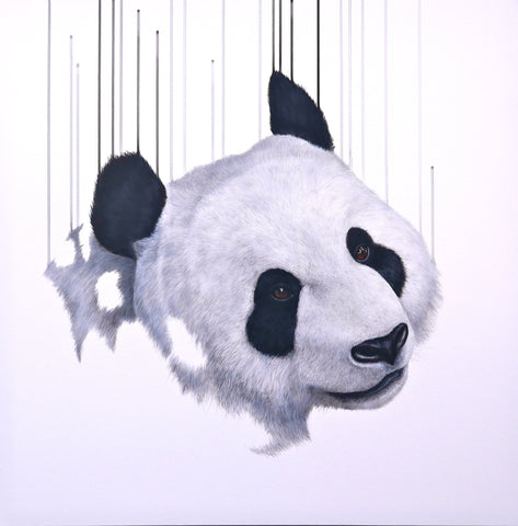 'Pandering I' Limited Edition By Louise McNaught