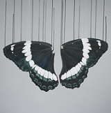 "What Remains of Psychae " By Louise McNaught