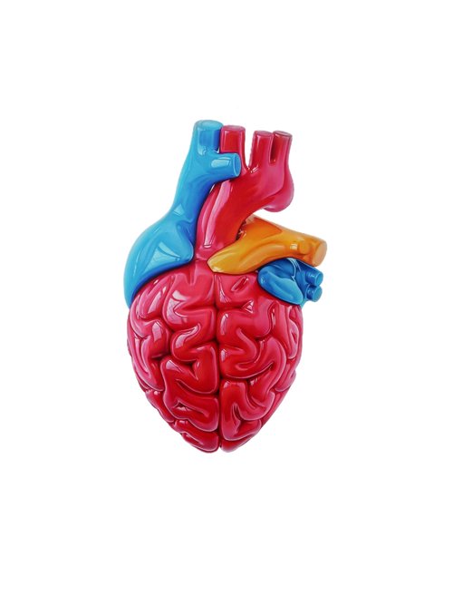 "BRAINHEART" Limited Edition By Hannah Lipsey