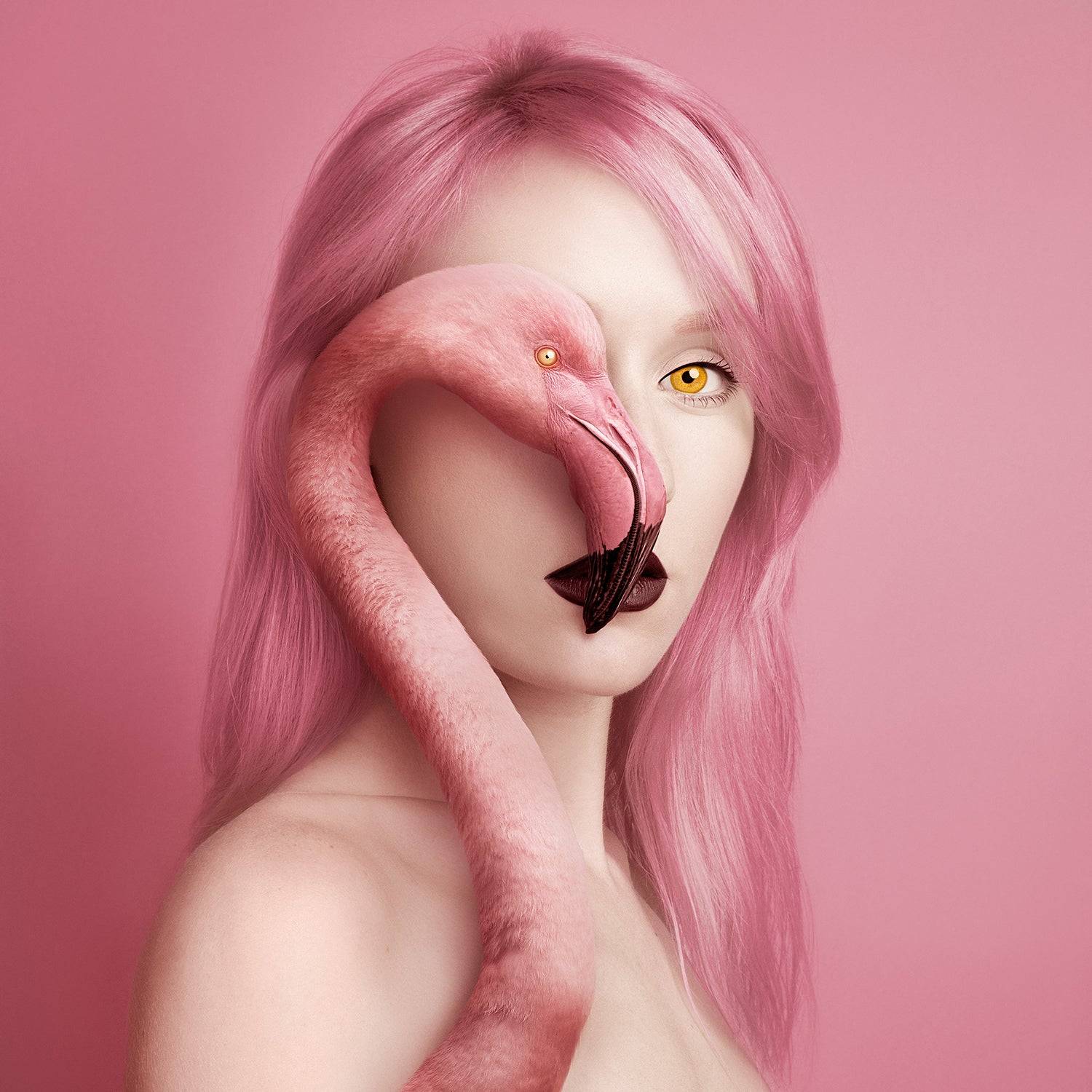 "Animeyed, Flamingo" By Flora Borsi, Limited Edition