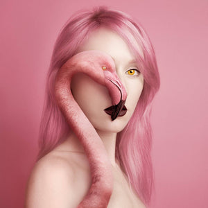 "Animeyed Flamingo" By Flora Borsi, mini edition