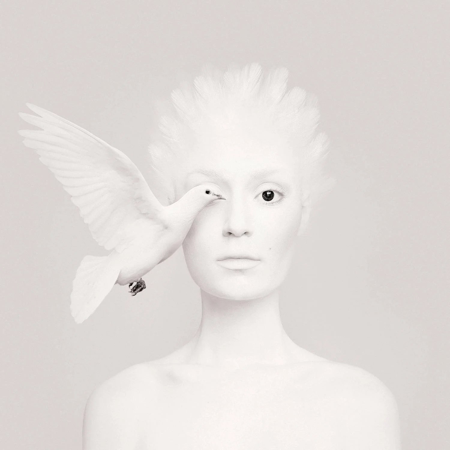 "Animeyed, Dove" By Flora Borsi, Limited Edition