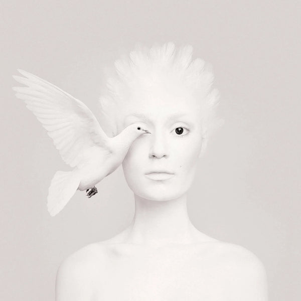 "Animeyed, Dove" By Flora Borsi, Limited Edition