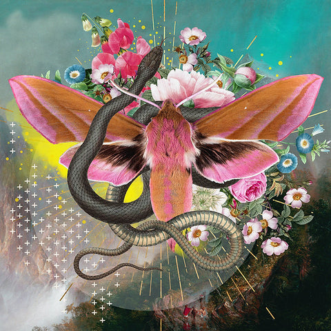 "In Truth" Hand Finished Limited Edition By Alexandra Gallagher