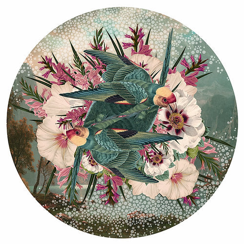 "Mirrored Euphoria" Limited Edition BY Alexandra Gallagher