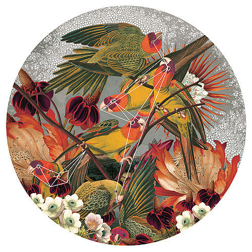 "The Perspective Of Happiness" Limited Edition BY Alexandra Gallagher