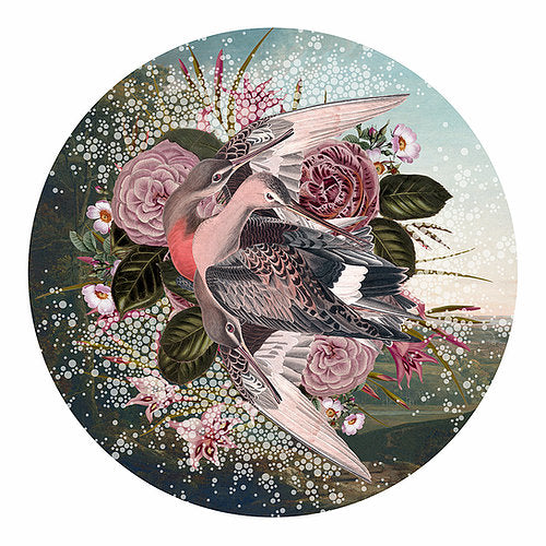 "Wisdom Of Three" Limited Edition By Alexandra Gallagher