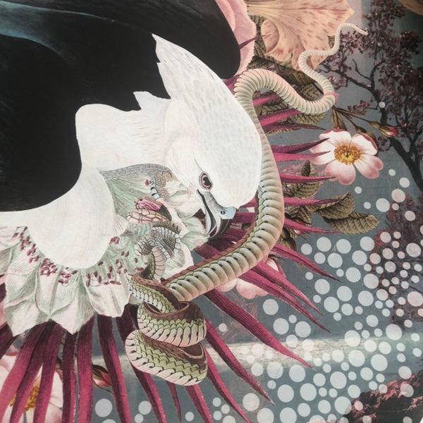 "Transition Of Hope" Limited  Edition By Alexandra Gallagher