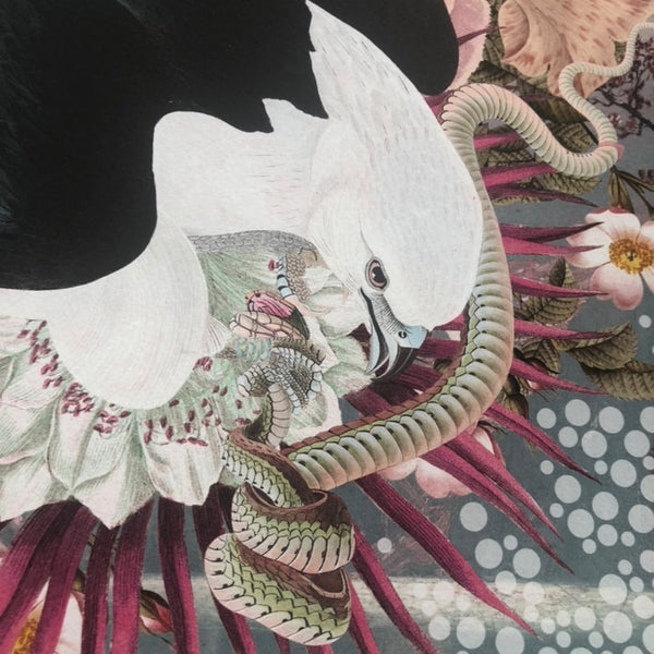 "Transition Of Hope" Limited  Edition By Alexandra Gallagher