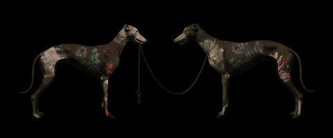 "DARKNESS SHALL BE THE LIGHT, STILL THE DANCING' Limited edition By Magnus Gjoen
