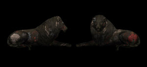 "DEATH MUST FIND YOU ALIVE TO TAKE YOU" Limited Edition by MAGNUS GJOEN