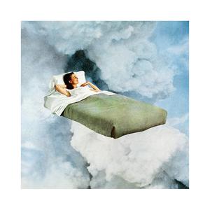 "Dream A Little Dream" Limited edition By Steven Quinn