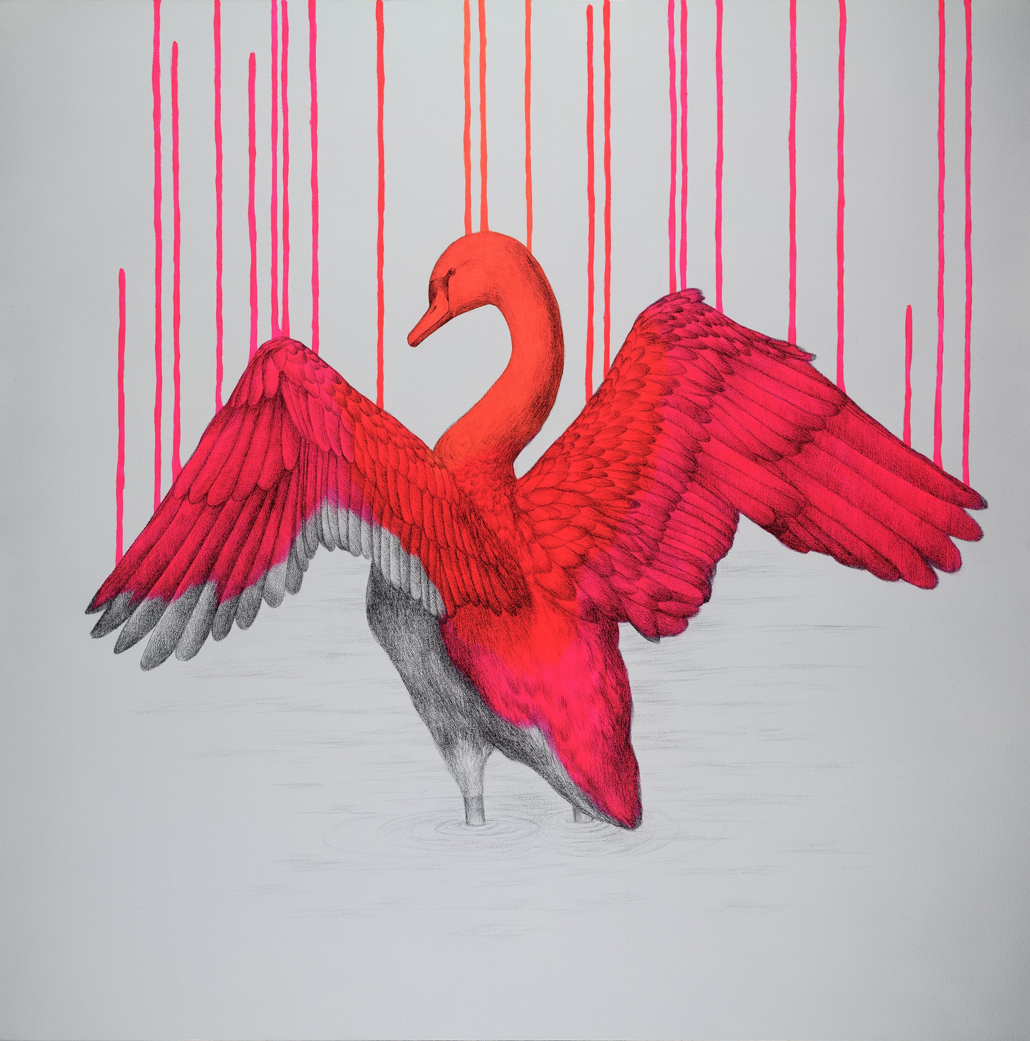 'Beautifully Wild' by Louise McNaught