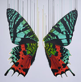 "Hidden Rainbows" By Louise McNaught