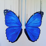 "Morpho" By Louise McNaught