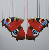 "Infatuation" By Louise McNaught