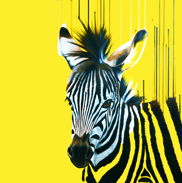 "A Star Is Born" Limited Edition By Louise McNaught