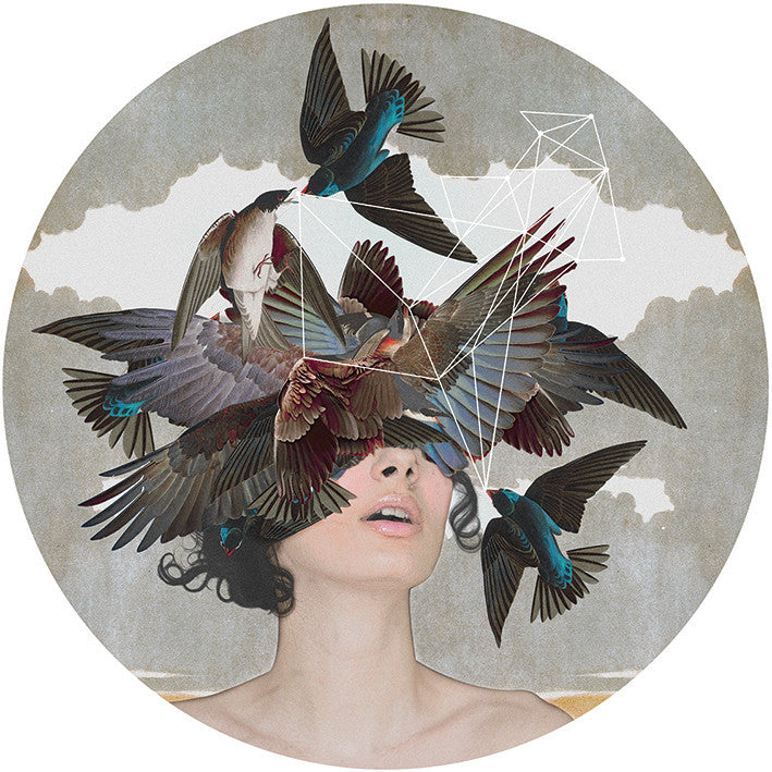 "Swallow Blind" Giclée by Alexandra Gallagher