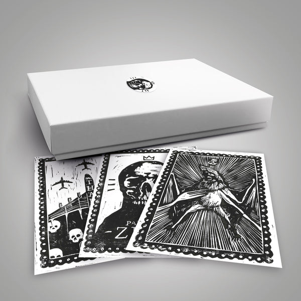 "Covid Chronicles" Collectors Box Set By Lee Ellis