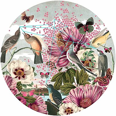 "Birds And Butterflies" Limited Edition By Alexandra Gallagher
