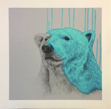 "Hey There Polar Bear - Aqua" Louise McNaught