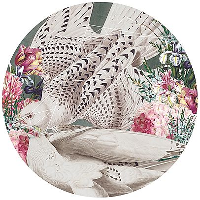 "Feather Fall" Limited Edition By Alexandra Gallagher