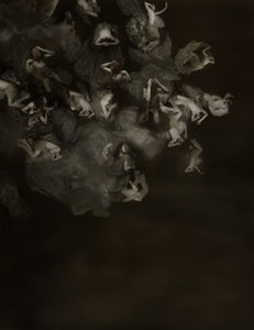 Mariska Karto "THE FALL"