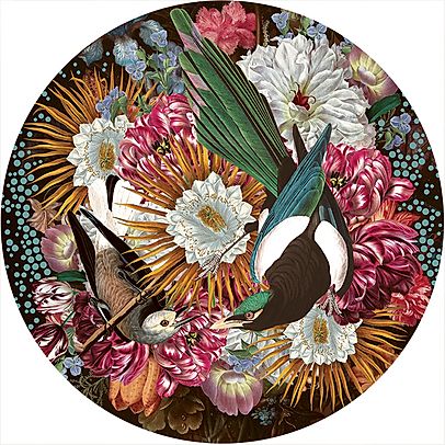 "Magpie" Limited Edition By Alexandra Gallagher